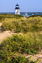 Wildflowers and Beach Grass By Brant Point Light